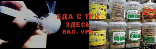хмурый Абаза