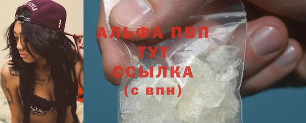 хмурый Абаза