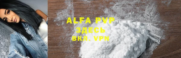хмурый Абаза