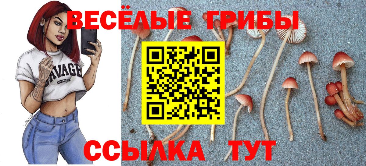 Галлюциногенные грибы Magic Shrooms Лиски